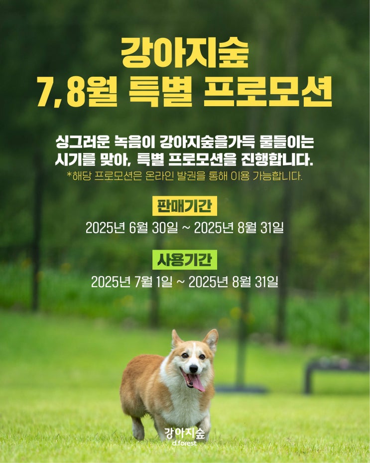  강아지숲, 여름맞이 ‘7~8월 사전예매 프로모션’ 최대 30% 할인 혜택