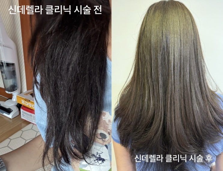  [뷰티 기록] 아티자노 헤어 종로점에서 신데렐라클리닉 받고왔어요