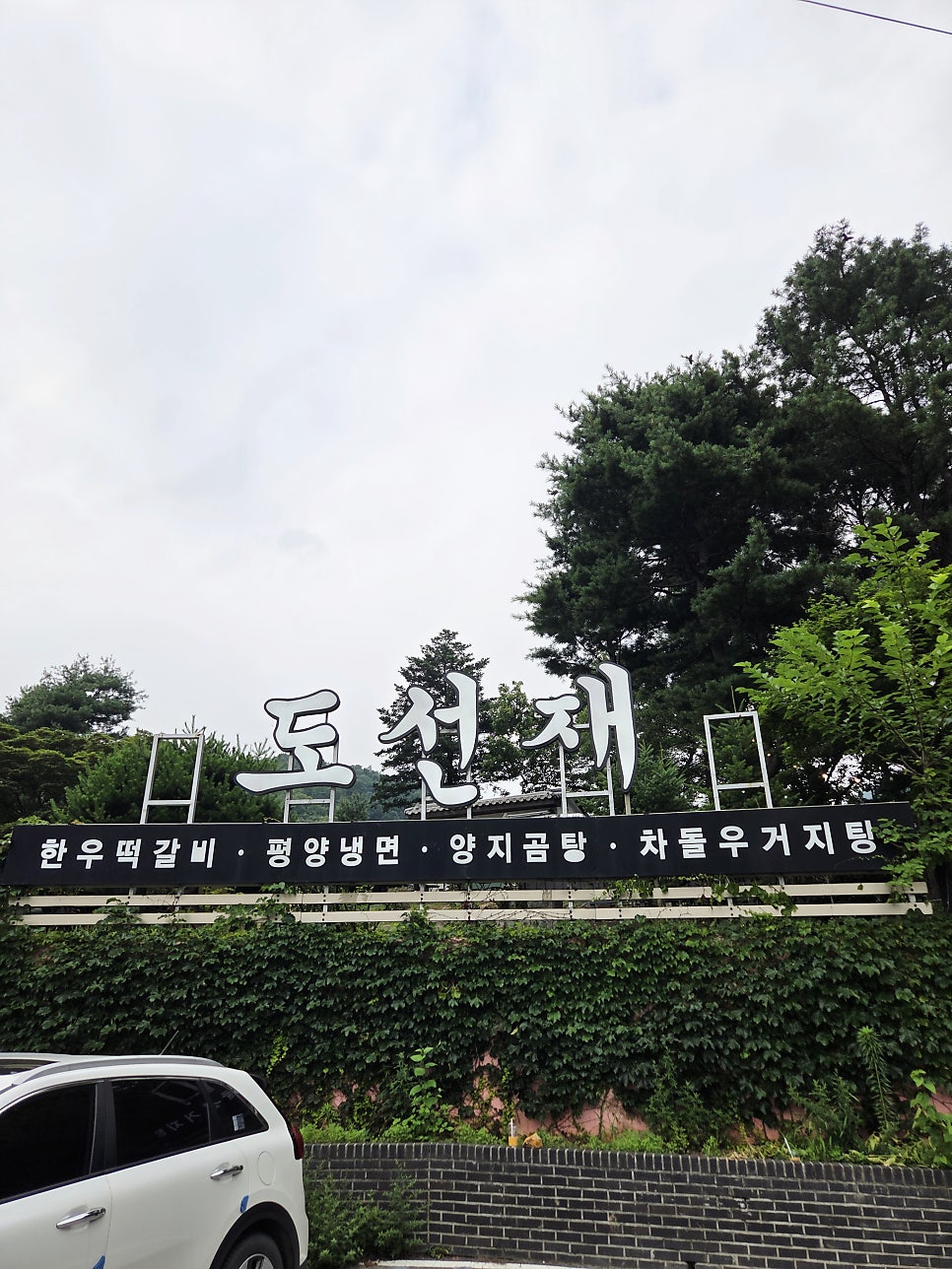 고양이숲 사진 1