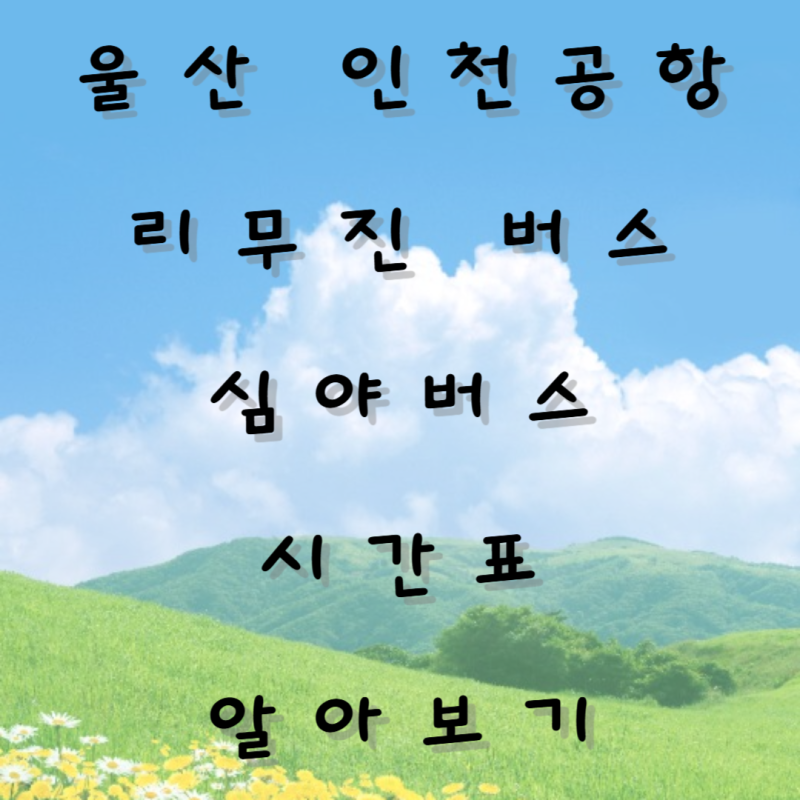 울산 인천공항 리무진 버스 심야버스 시간표 알아보기 (2025년 최신)