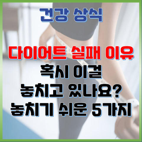  다이어트 실패 이유 5가지 - 혹시 이걸 놓치고 있나요?