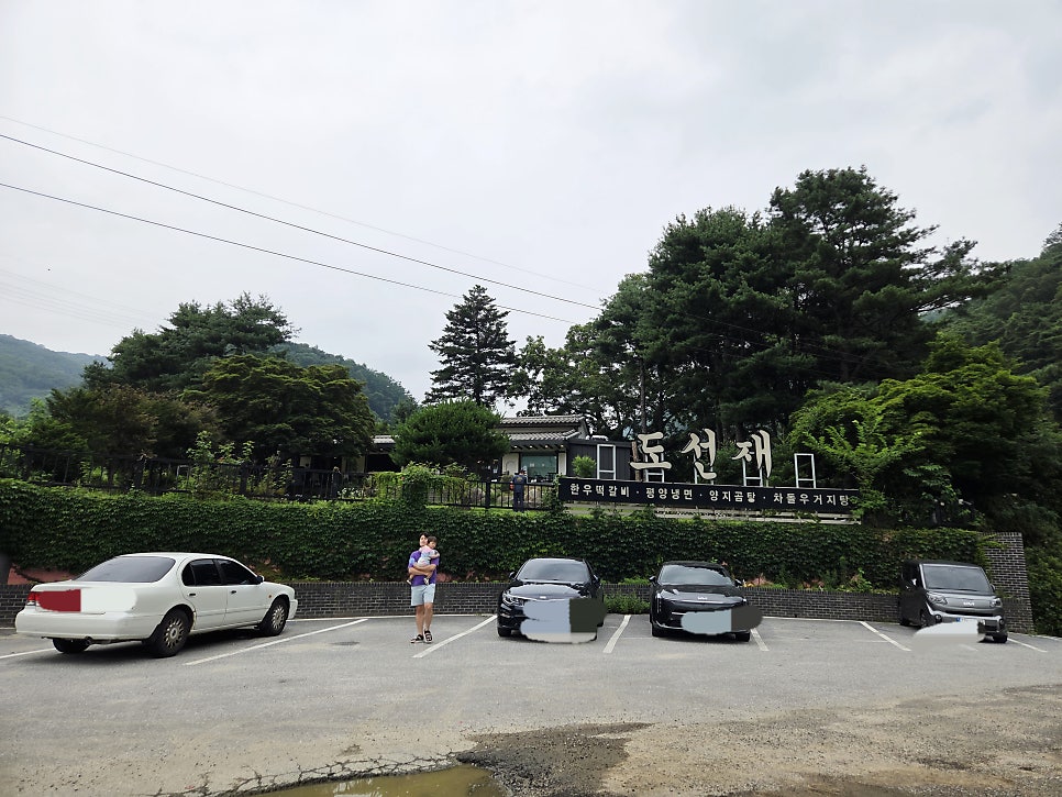 고양이숲 사진 4