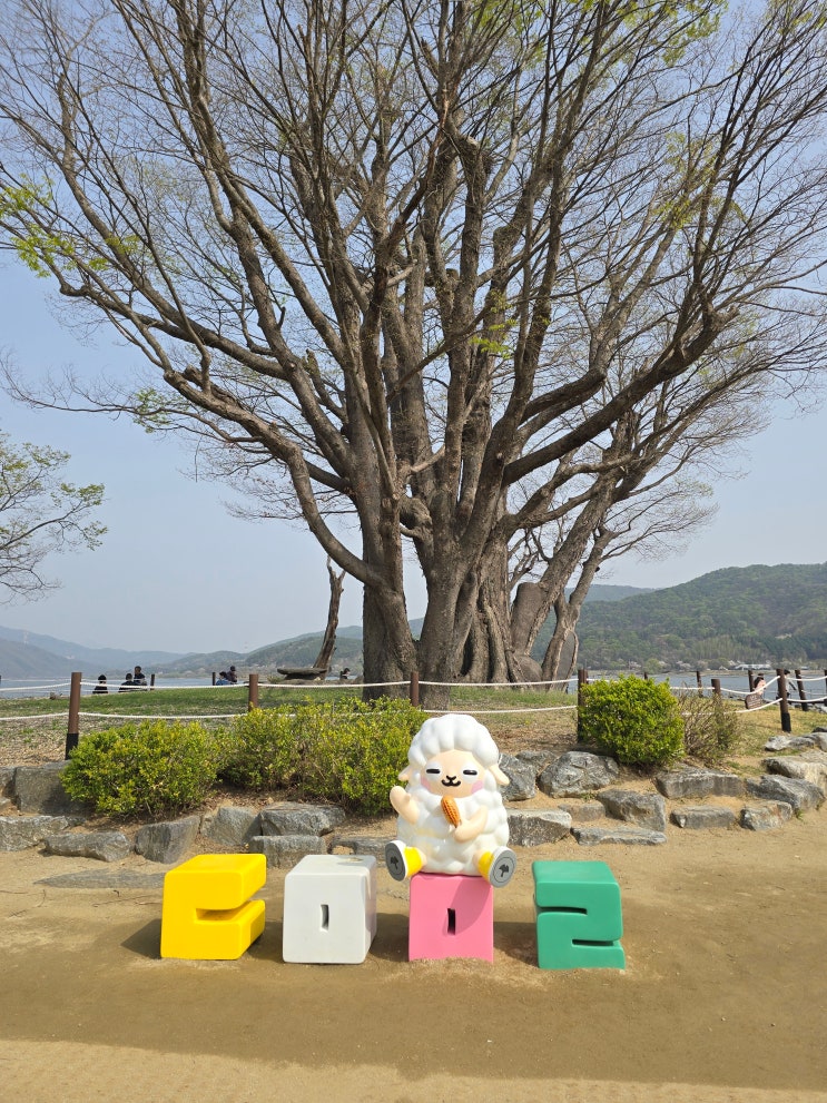  경기도 당일치기 여행 양평 두물머리 연핫도그 주차 맛집 등 정리