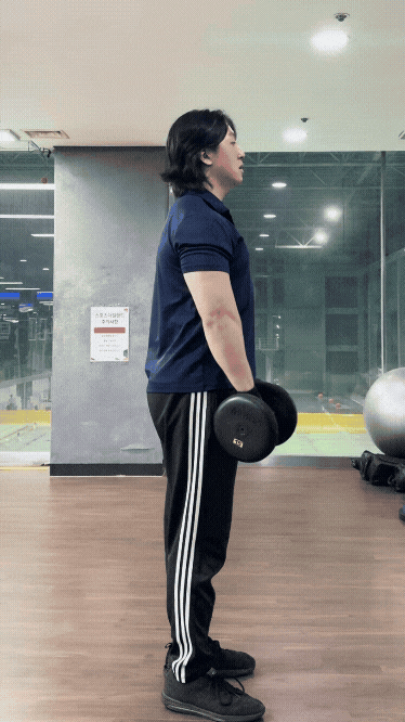  사이드레터럴레이즈, 왜 승모근만 쓰일까?