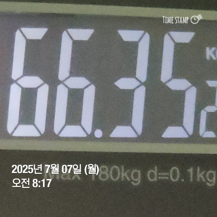  위고비 78일