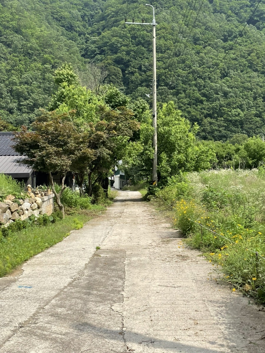 옥펜션 사진 5