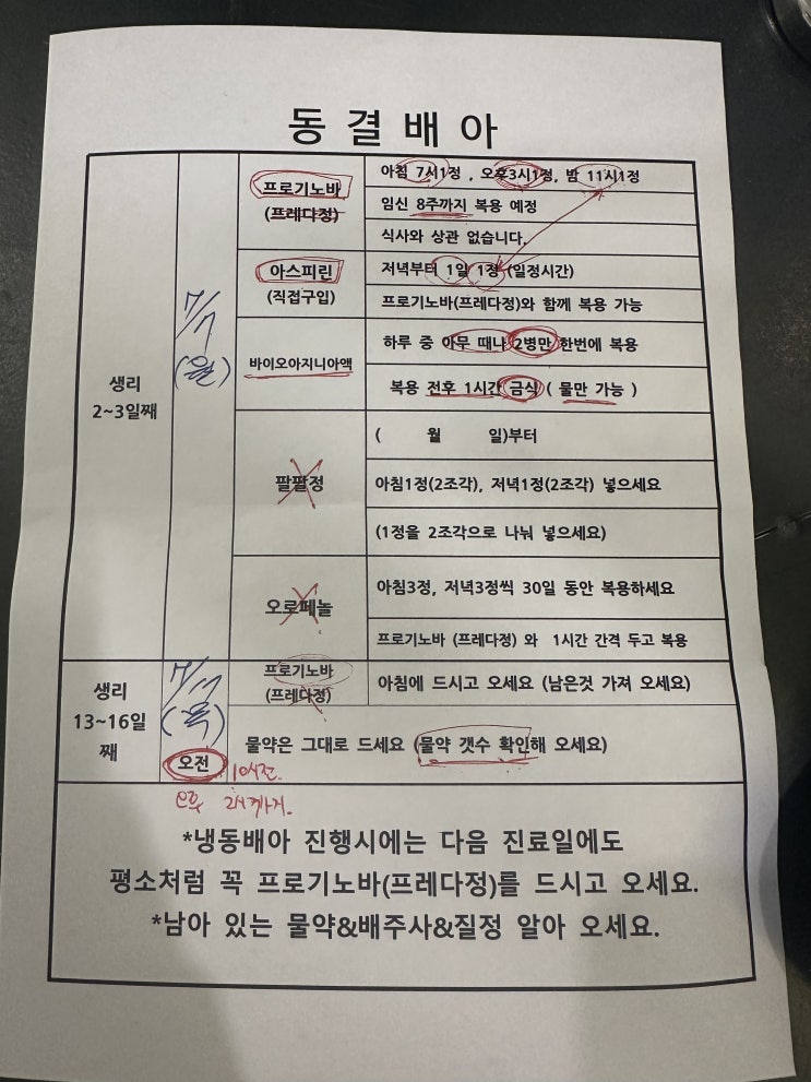  시험관 2차 시작 (첫 동결배아 이식 과정)