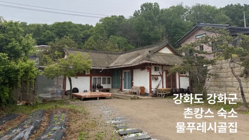 [강화도] 촌캉스 숙소 물푸레시골집 별채 후기