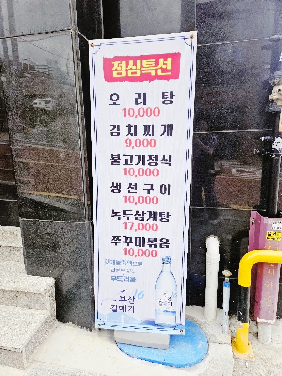 힘찬유황오리 사진 6