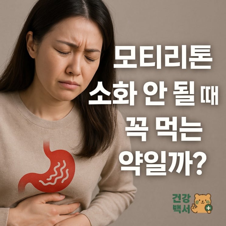  모티리톤, 복용법과 효과 및 작용 원리