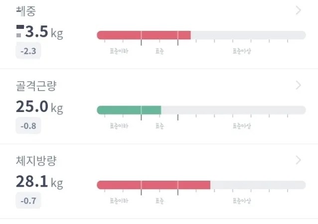  스위치온 1주차 후기(1일-7일) _pt받으면서 하기!