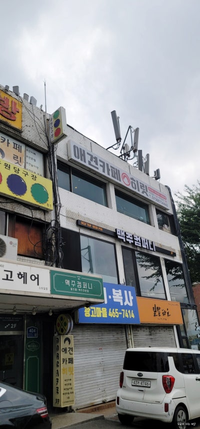 사진 5