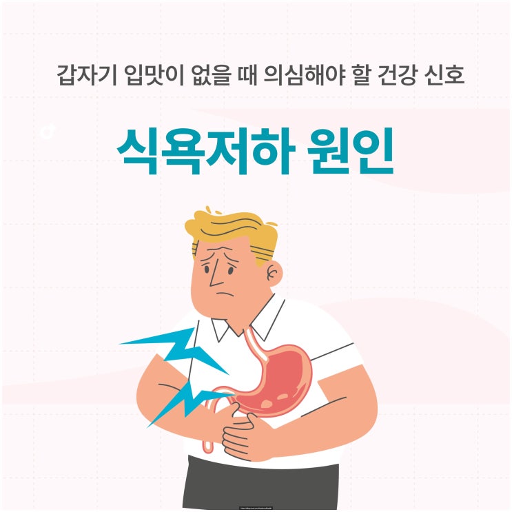  식욕저하 원인 – 갑자기 입맛이 없을 때 의심해야 할 건강 신호