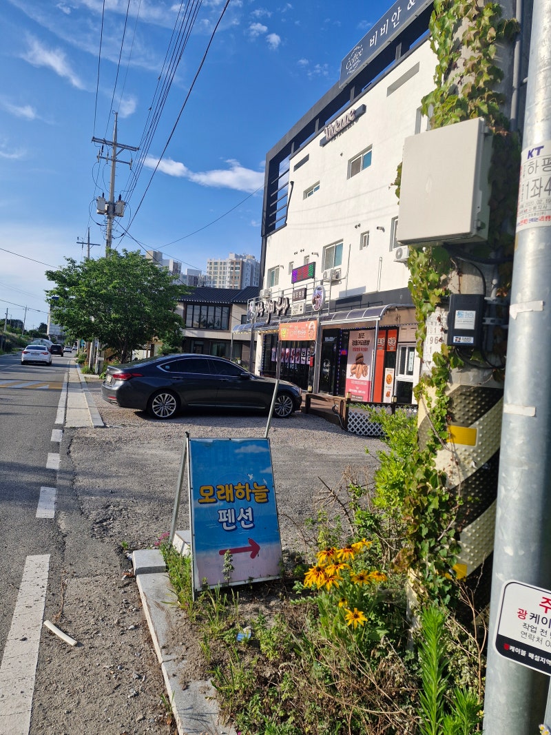 사진 7