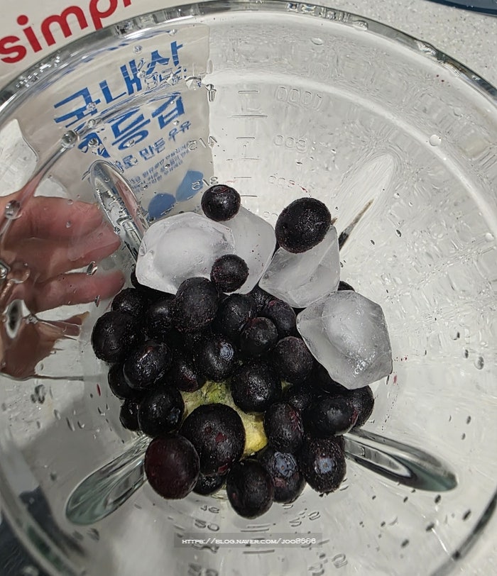 블루베리 스무디 만들기 우유랑 아보카도만 있으면 끝!