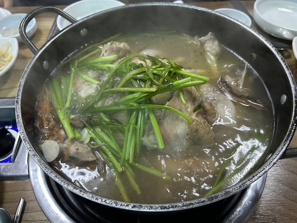 꼭끼요 사진 5