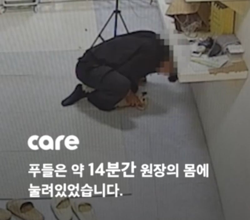 사진 3