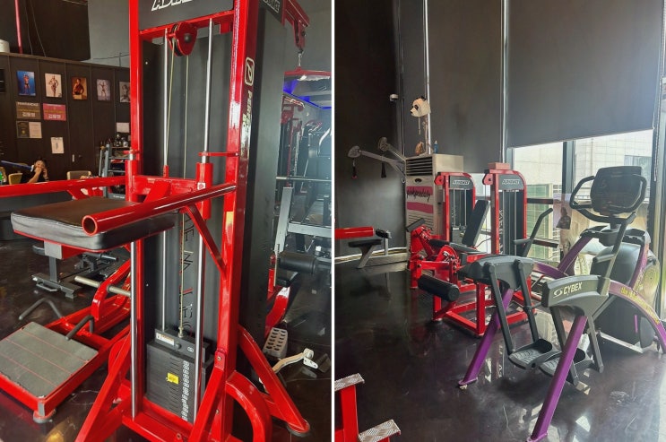  [PT리뷰] 핑크팬더즈 에코송천점, 전주 송천동 PT로 체력과 건강을 찾다