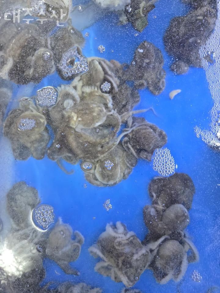대주수산 직영점 사진 2