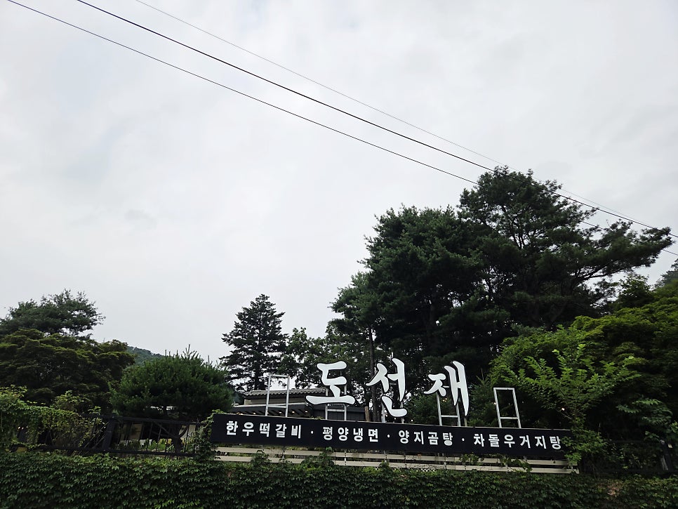 고양이숲 사진 3