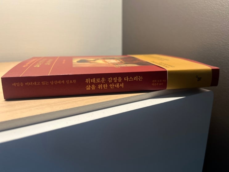  감정을 철학을 통해 설명하는 책 위태로운 감정을 다스리는 삶을 위한 안내서