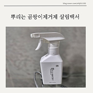 벽 곰팡이 제거제 살림백서 곰팡이제거제 후기