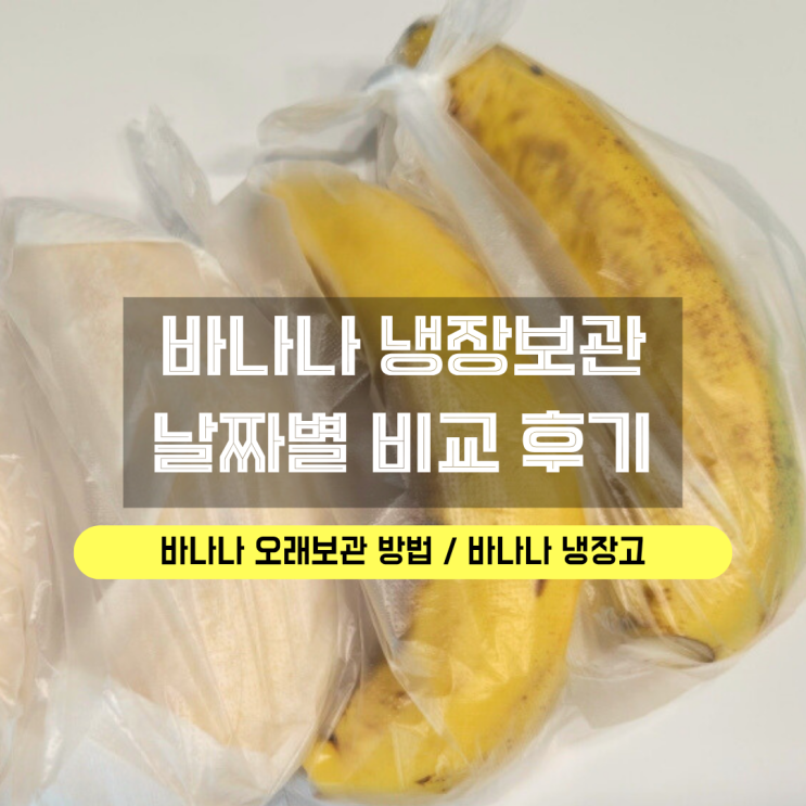  바나나 냉장보관 날짜별 비교해본 후기 (오래 먹는 방법)