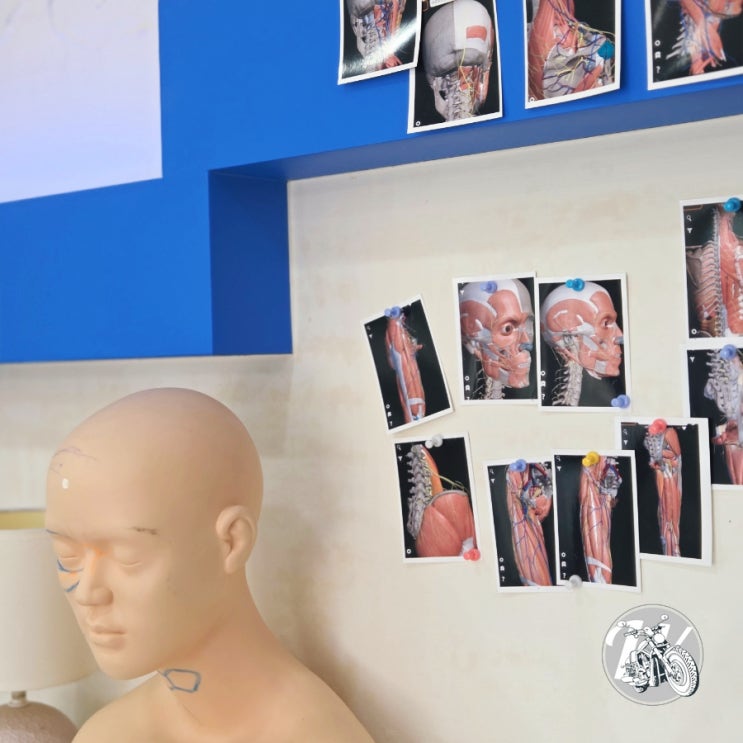  울산 통증관리 스포츠 디더테라피