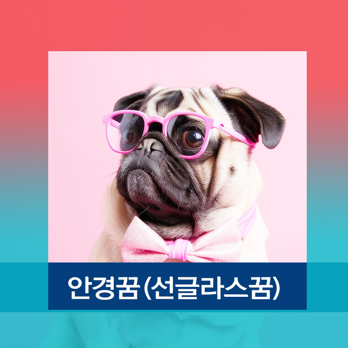 안경꿈 꿈에서 안경쓰는 꿈해몽
