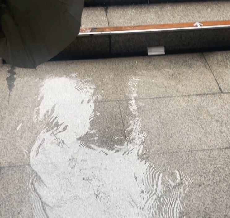  소나기