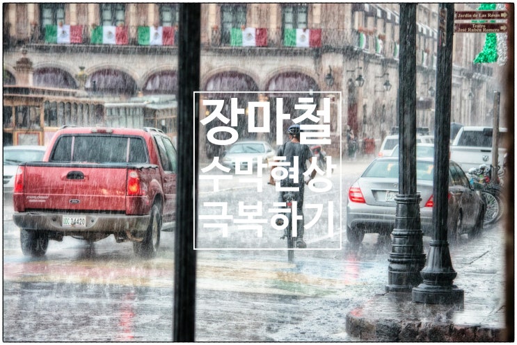  안전을 위협하는 장마철 수막현상 극복하기 / 건강생활소식(25.07.09)
