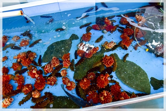 산횟집 사진 4
