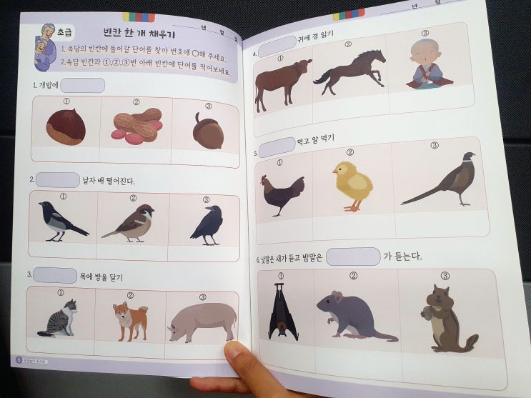  할머니 선물 어르신 선물 치매예방게임 속담놀이 워크북