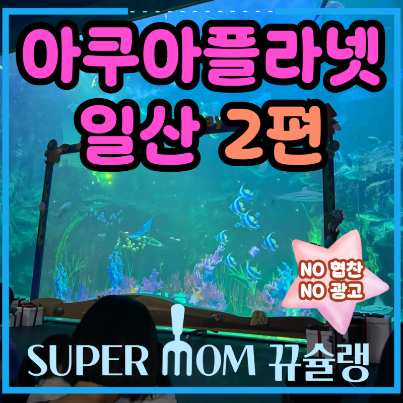 아쿠아플라넷 일산 인어공주 공연과 국내 유일 바다코끼리 생태설명회