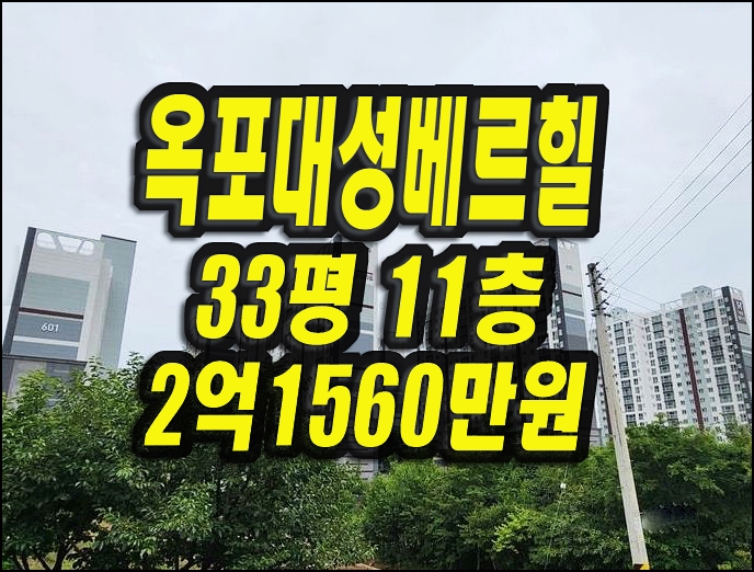  대구달성군 옥포읍 교향리 옥포대성베르힐6단지 아파트경매