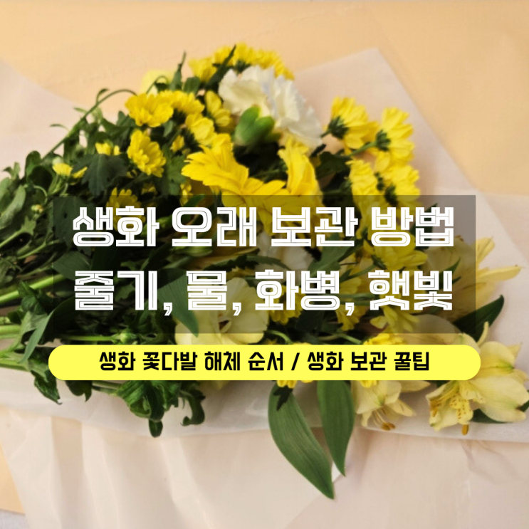  생화 보관 방법 총정리, 꽃다발 해체 순서