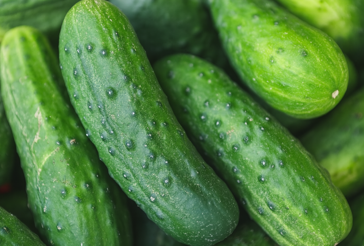  다이어트 간식 치트키 오이 칼로리 수분함량 효능 효과
