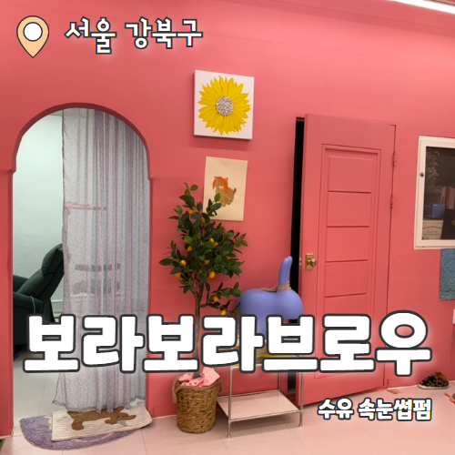  보라보라브로우 수유점 : 눈시림 없는 자연스러운 속눈썹 완성 수유속눈썹 추천후기