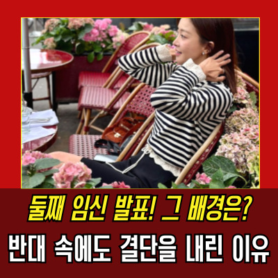  이시영임신 배아 이식, 전남편과의 갈등과 이시영의 결단