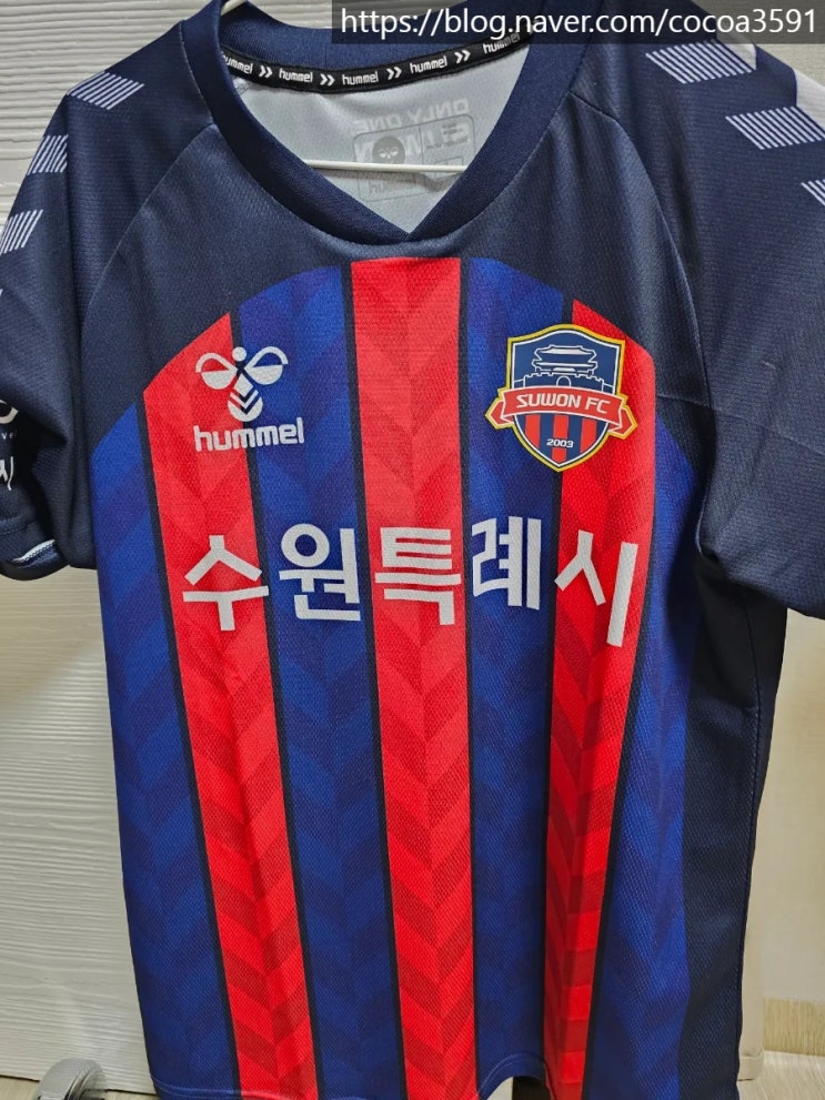 <b>수원 FC</b>엔 상처, <b>FC</b> 서울엔 희망? 안데르손의 <b>영입</b>