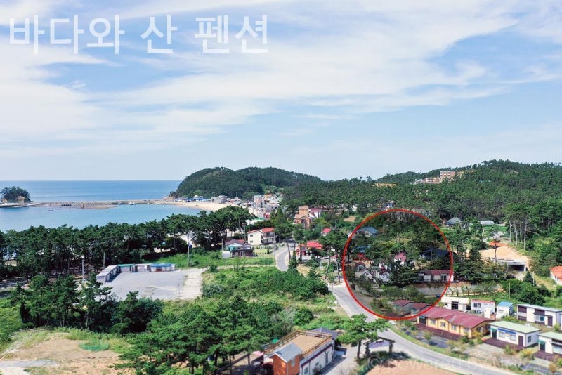 사진 2