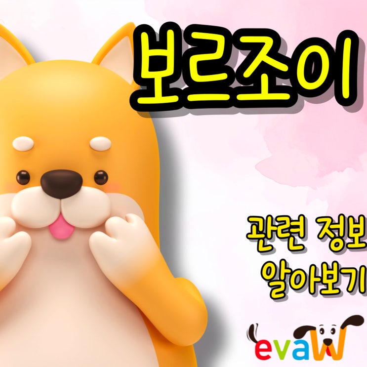  보르조이 우아함과 순수함을 겸비한 대형견 (테마, 특징, 분양, 짤)