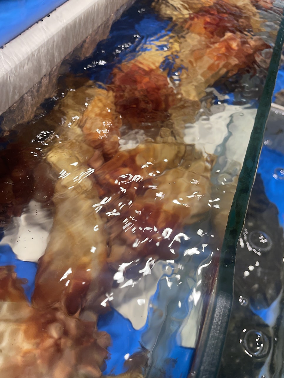 남도회집 사진 4