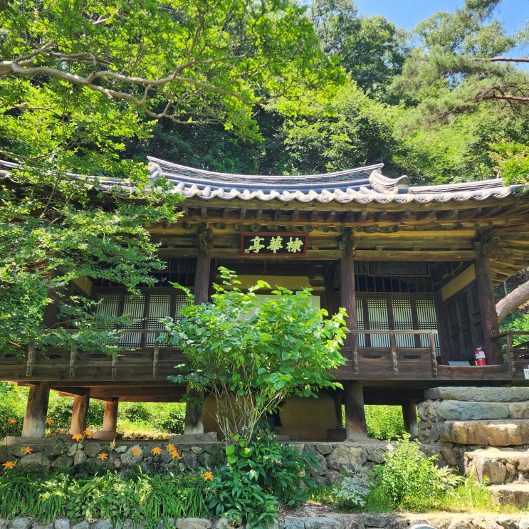  안동 체화정 조선시대 정자 보물 제2051호 경북 여행지 안동 가볼만한 곳