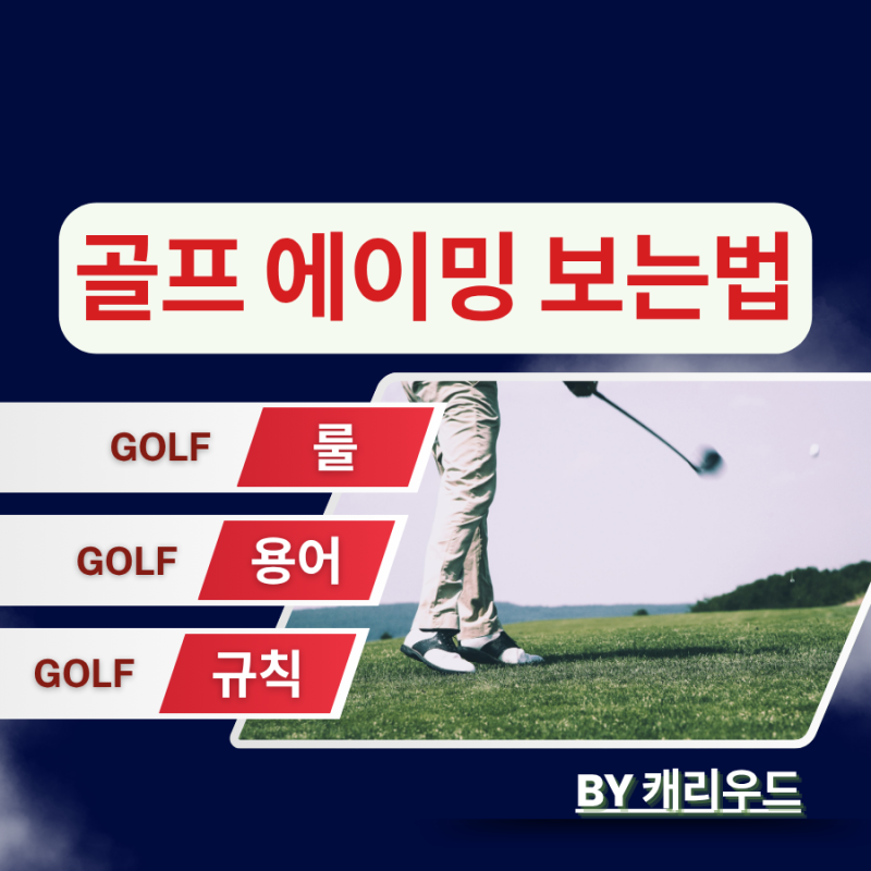 골프 용어 에이밍 뜻 초보 에이밍 보는 방법