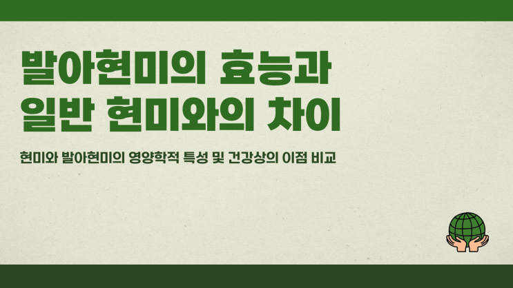  발아현미효능과 일반 현미 차이