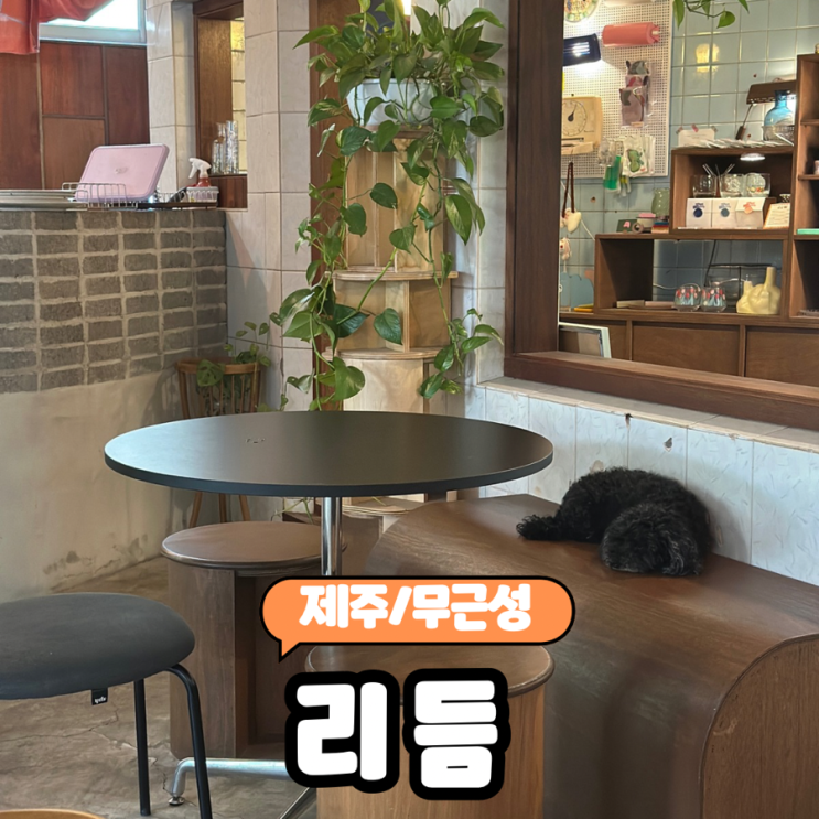  [제주/탑동] 제주공항근처 옛날 목욕탕을 개조해 만든 감성가득한 카페 "리듬 앤 브루스" (feat.귀여운 강아지)