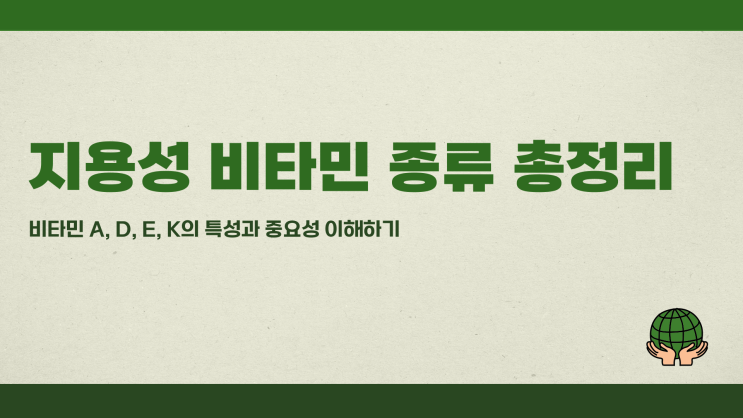  지용성비타민종류 총정리