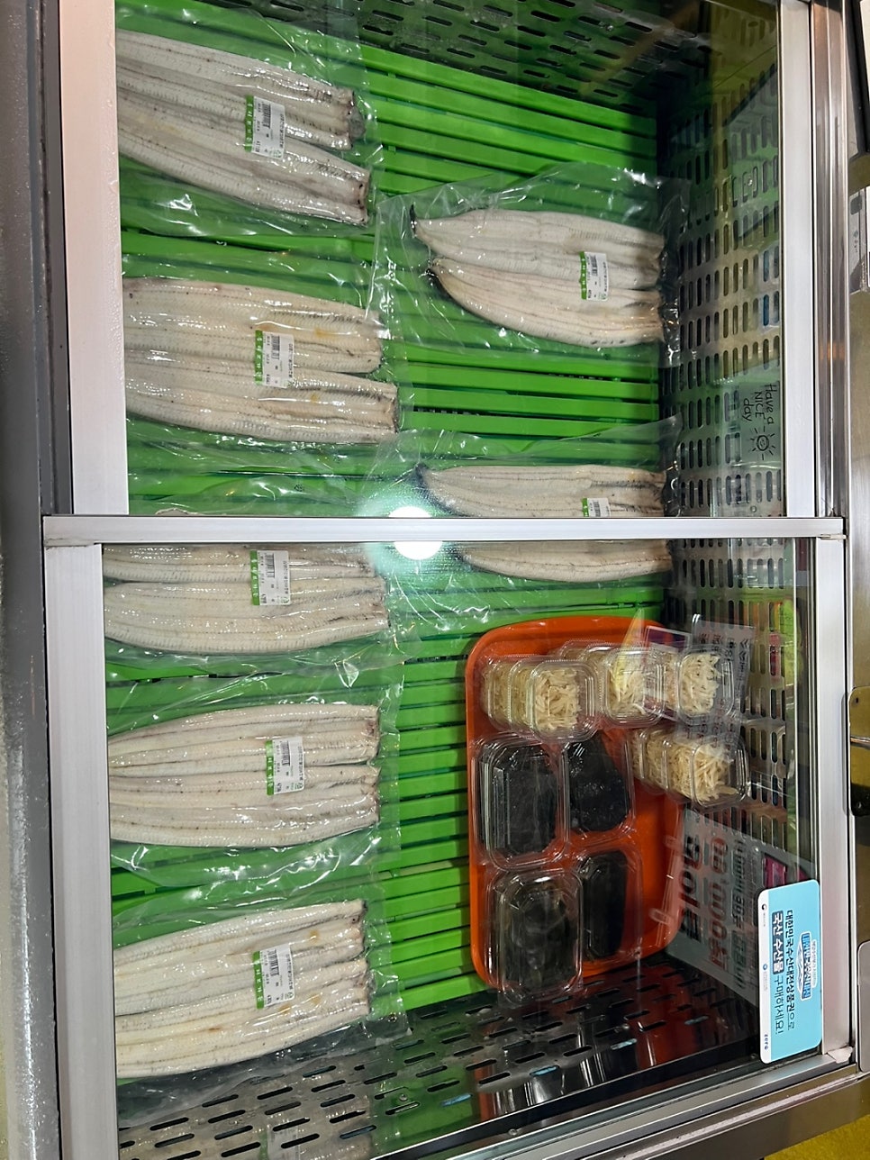 심명진민물장어 사진 3