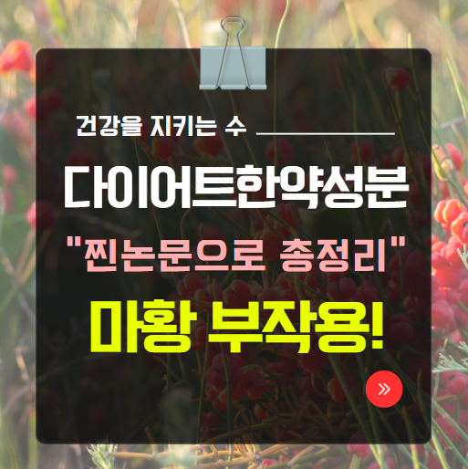  다이어트 한약 성분 효과 마황 부작용 분석, 찐 논문으로 총정리! (경희수 한방약국 꿀팁 공개)